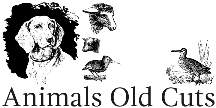 Animals Old Cuts